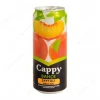 Cappy (33 cl.)